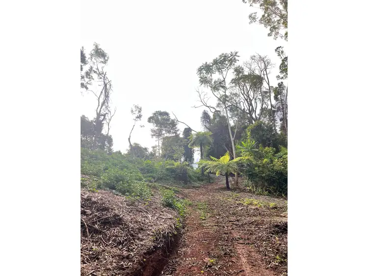 Fifth view of Homely land listing, 2471 Springbrook Road, Springbrook QLD 4213
