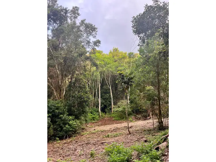 Sixth view of Homely land listing, 2471 Springbrook Road, Springbrook QLD 4213