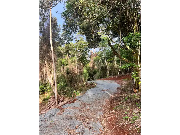 Seventh view of Homely land listing, 2471 Springbrook Road, Springbrook QLD 4213