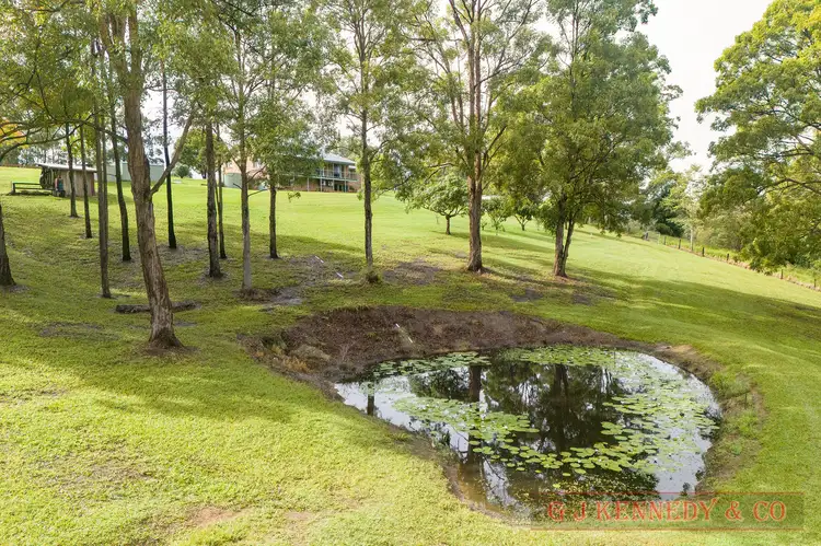 Fourth view of Homely house listing, 53 Newee Creek Rd, Newee Creek NSW 2447