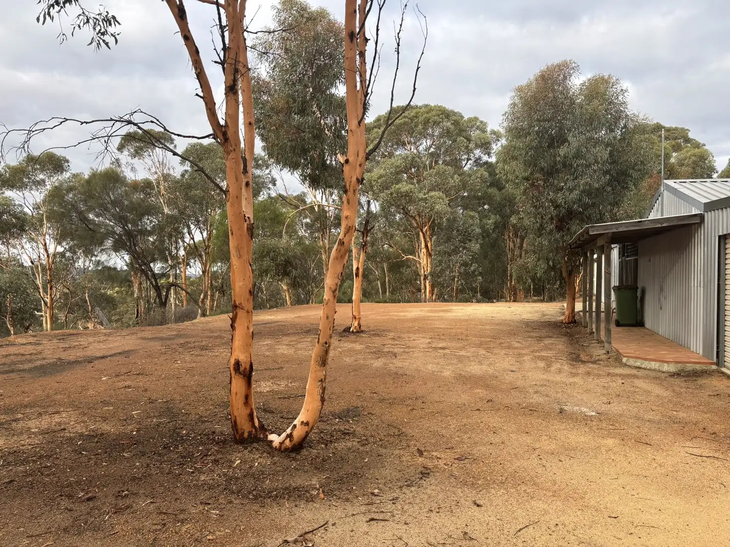 Main view of Homely land listing, 155 Wandoo Cir, Toodyay WA 6566