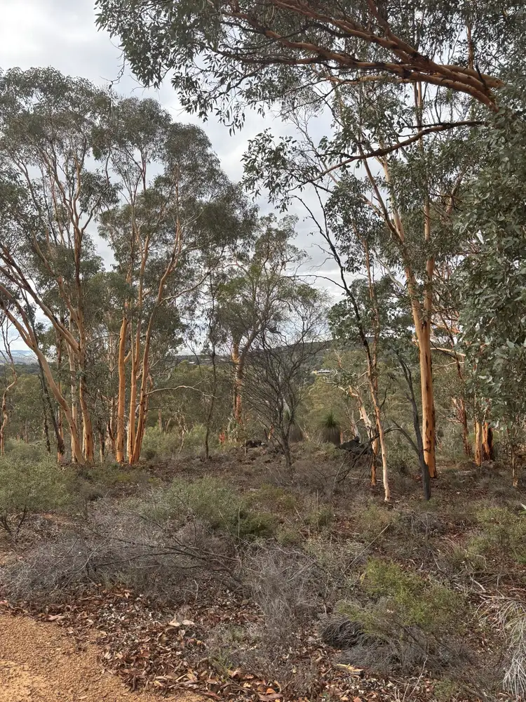 Sixth view of Homely land listing, 155 Wandoo Cir, Toodyay WA 6566