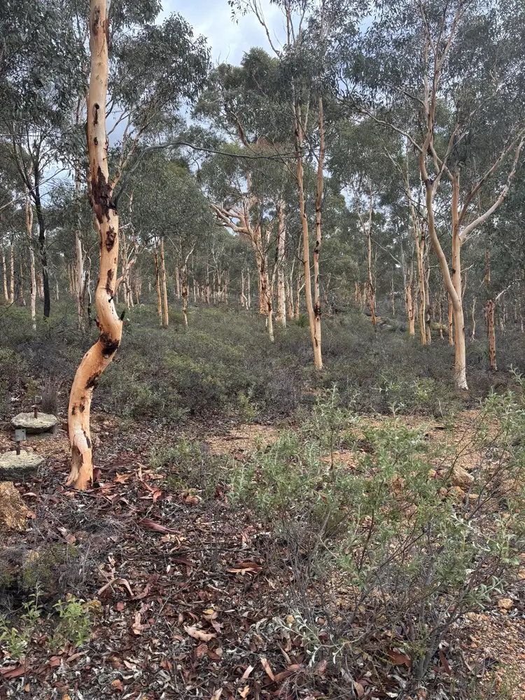 Seventh view of Homely land listing, 155 Wandoo Cir, Toodyay WA 6566