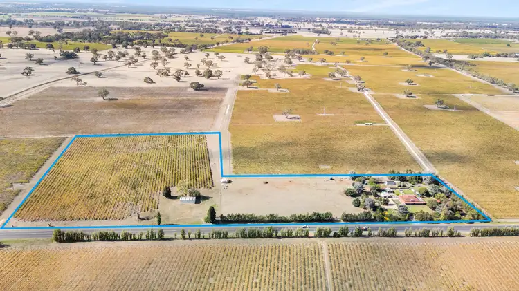 14687 Riddoch Hwy, Coonawarra SA 5263