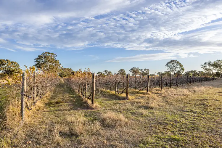 Fifth view of Homely land listing, Allotment 5 Old Comaum Rd, Penola SA 5277