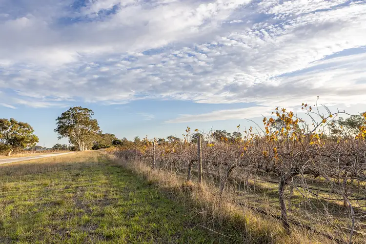 Sixth view of Homely land listing, Allotment 5 Old Comaum Rd, Penola SA 5277