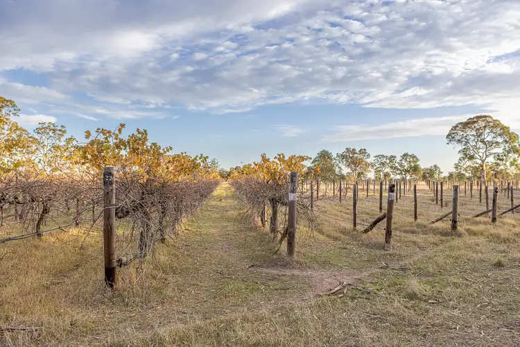 Seventh view of Homely land listing, Allotment 5 Old Comaum Rd, Penola SA 5277