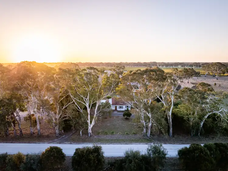 Main view of Homely house listing, 437 Old Comaum Rd, Penola SA 5277