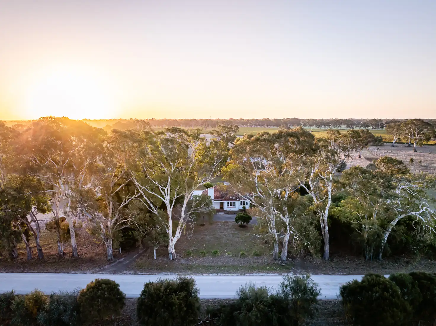 Main view of Homely house listing, 437 Old Comaum Rd, Penola SA 5277