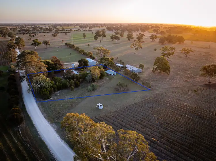 Second view of Homely house listing, 437 Old Comaum Rd, Penola SA 5277