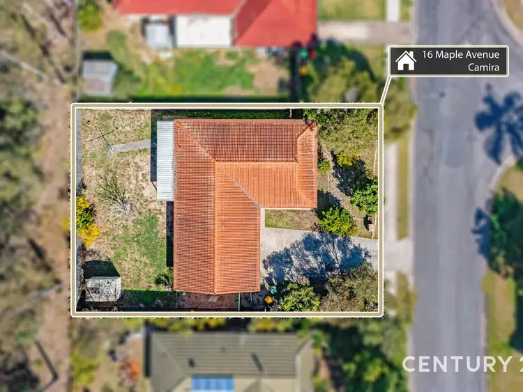 Second view of Homely house listing, 16 Maple Avenue, Camira QLD 4300