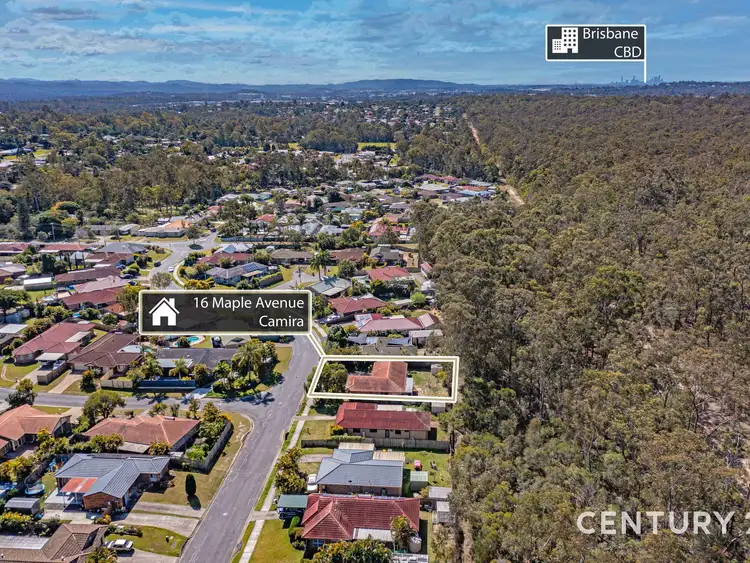 Third view of Homely house listing, 16 Maple Avenue, Camira QLD 4300