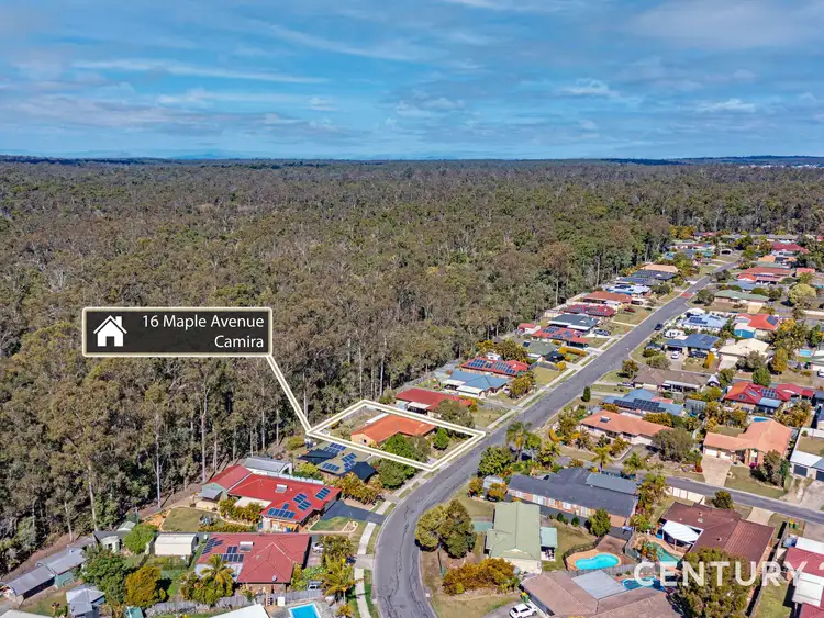 Fourth view of Homely house listing, 16 Maple Avenue, Camira QLD 4300