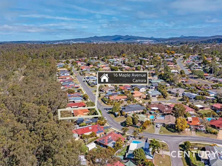 Fifth view of Homely house listing, 16 Maple Avenue, Camira QLD 4300