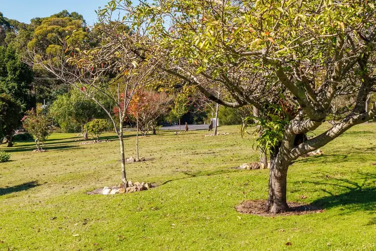 Fifth view of Homely land listing, 28 Wonboyn Road, WONBOYN Via, Eden NSW 2551