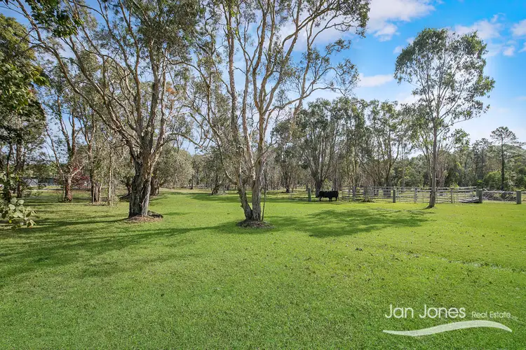 Second view of Homely house listing, 17 Glasgow Rd, Ningi QLD 4511