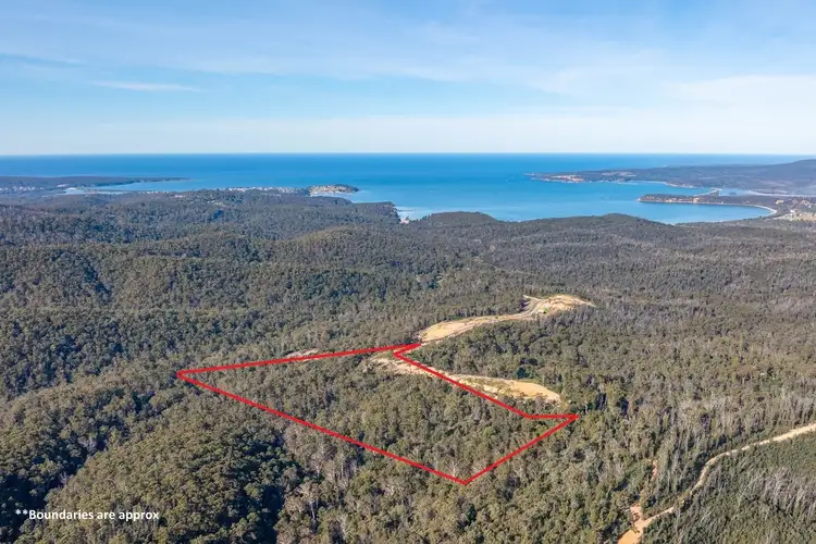 156 Silver Top Crescent, NULLICA Via, Eden NSW 2551