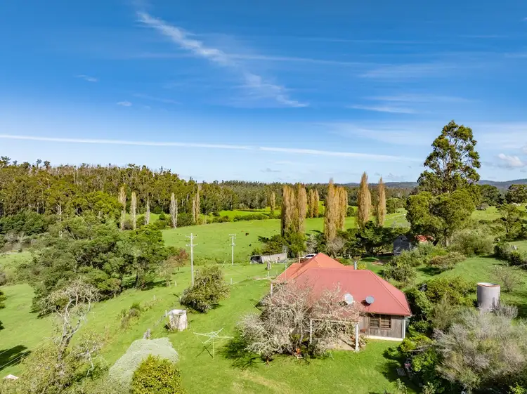 Fourth view of Homely rural property listing, 303 The Snake Track KIAH Via, Eden NSW 2551