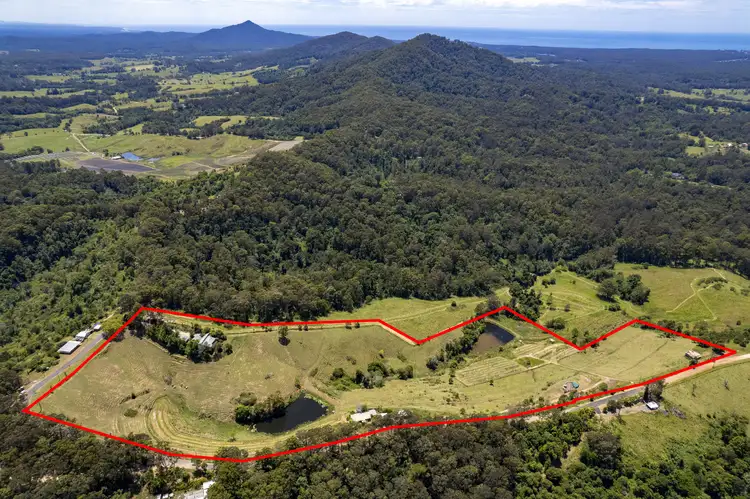 Main view of Homely house listing, 190 Richards Rd, Newee Creek NSW 2447
