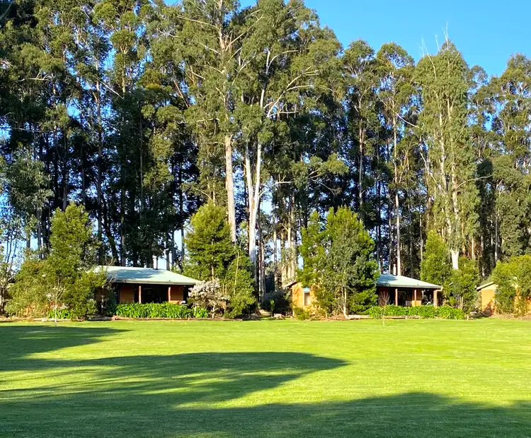 Fifth view of Homely rural property listing, 192 Browns Road, Pemberton WA 6260