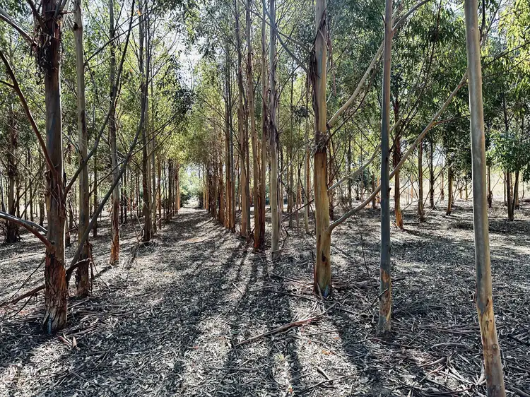 Fourth view of Homely land listing, 9268 Horrocks Hwy, Stanley Flat SA 5453