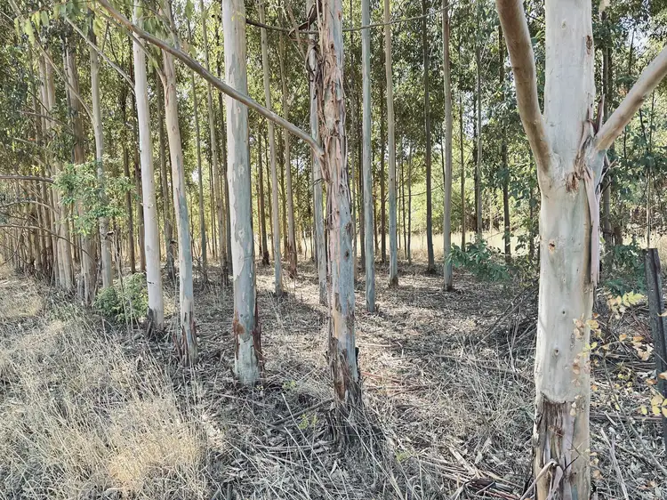 Fifth view of Homely land listing, 9268 Horrocks Hwy, Stanley Flat SA 5453