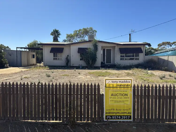 Main view of Homely house listing, 7 Christie St, Three Springs WA 6519