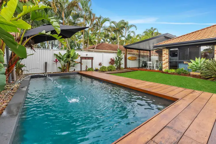 11 Pimelea Ct, Mountain Creek QLD 4557