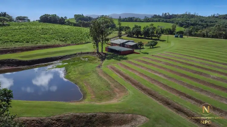 Fourth view of Homely rural property listing, 232 Dingo Pocket Rd, Dingo Pocket QLD 4854