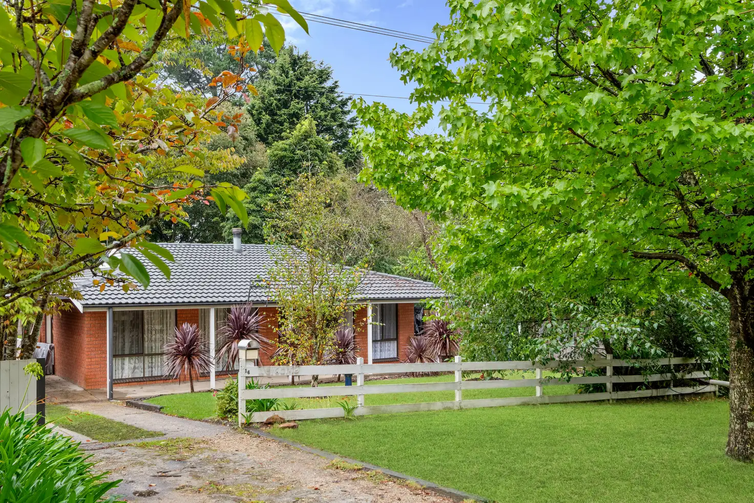 Main view of Homely house listing, 16 Fitzgerald St, Wentworth Falls NSW 2782