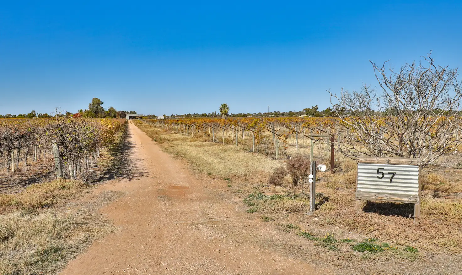 Main view of Homely other listing, 57 First St, Merbein VIC 3505