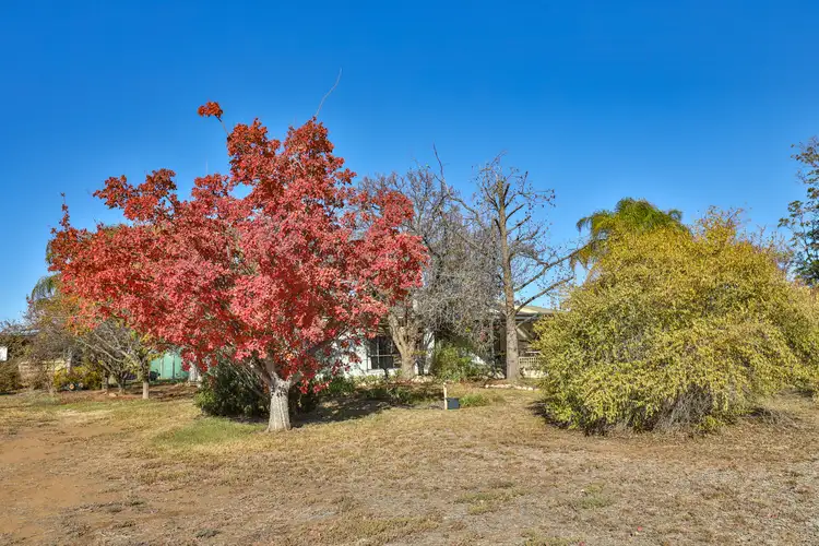Fourth view of Homely other listing, 57 First St, Merbein VIC 3505