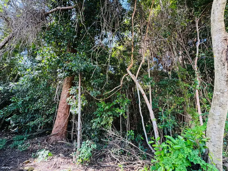 Fifth view of Homely land listing, 18 Clipper Ct, South Mission Beach QLD 4852
