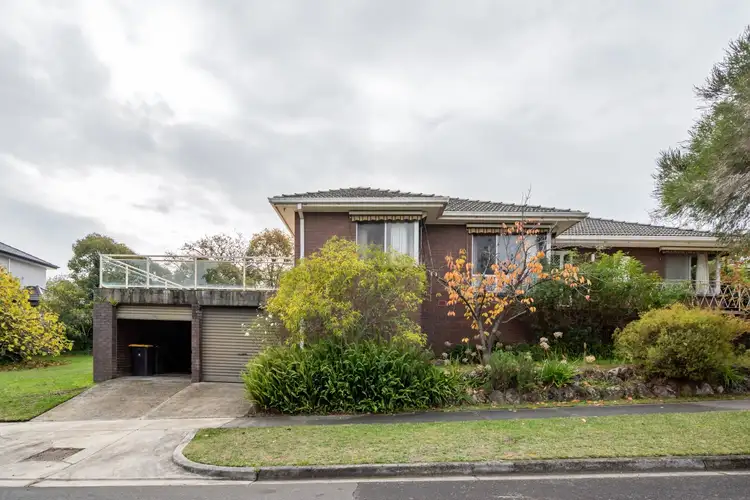 Main view of Homely house listing, 19 Smyth Street, Mount Waverley VIC 3149