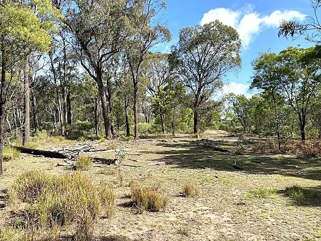 Second view of Homely rural property listing, 150 Reedy Creek Rd, Rylstone NSW 2849
