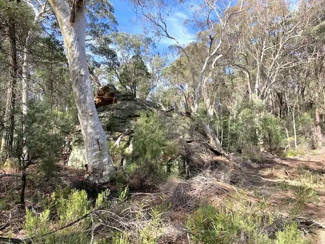 Fourth view of Homely rural property listing, 150 Reedy Creek Rd, Rylstone NSW 2849