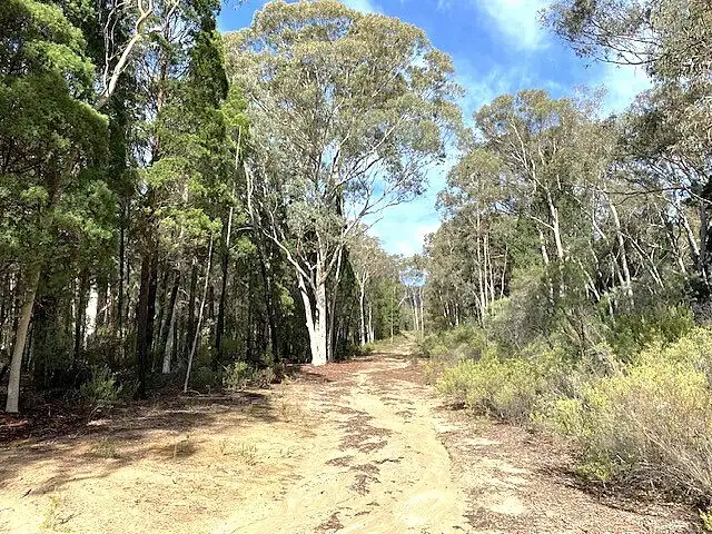 Sixth view of Homely rural property listing, 150 Reedy Creek Rd, Rylstone NSW 2849