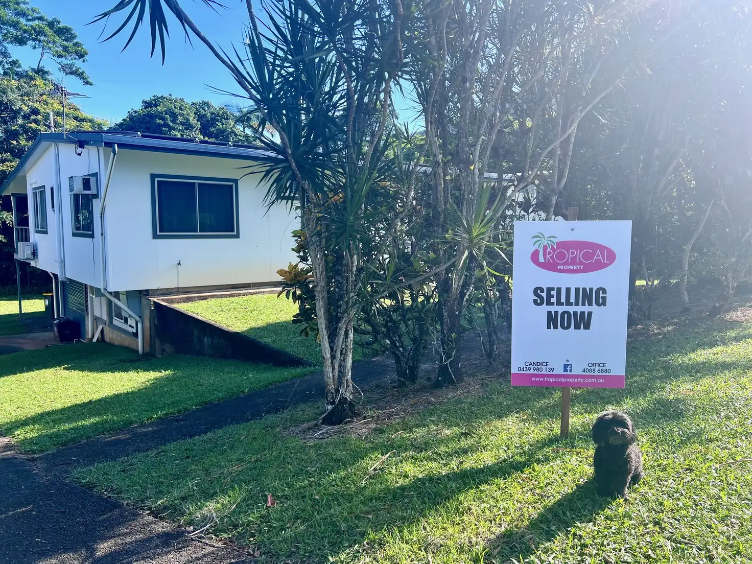 Main view of Homely house listing, 9 Clarke Kennedy St, Tully QLD 4854