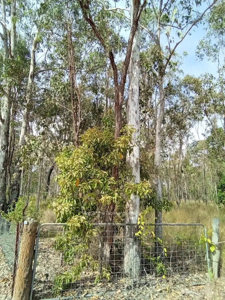 Main view of Homely land listing, 189 Millstream Pde, Millstream QLD 4888