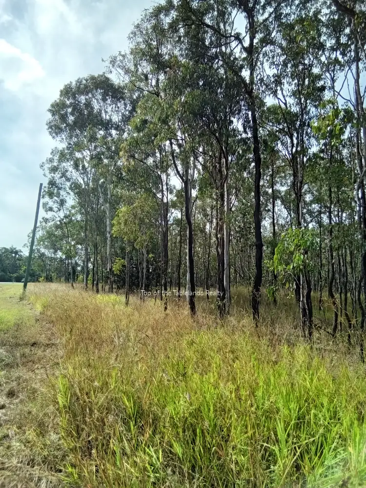 Second view of Homely land listing, 189 Millstream Pde, Millstream QLD 4888