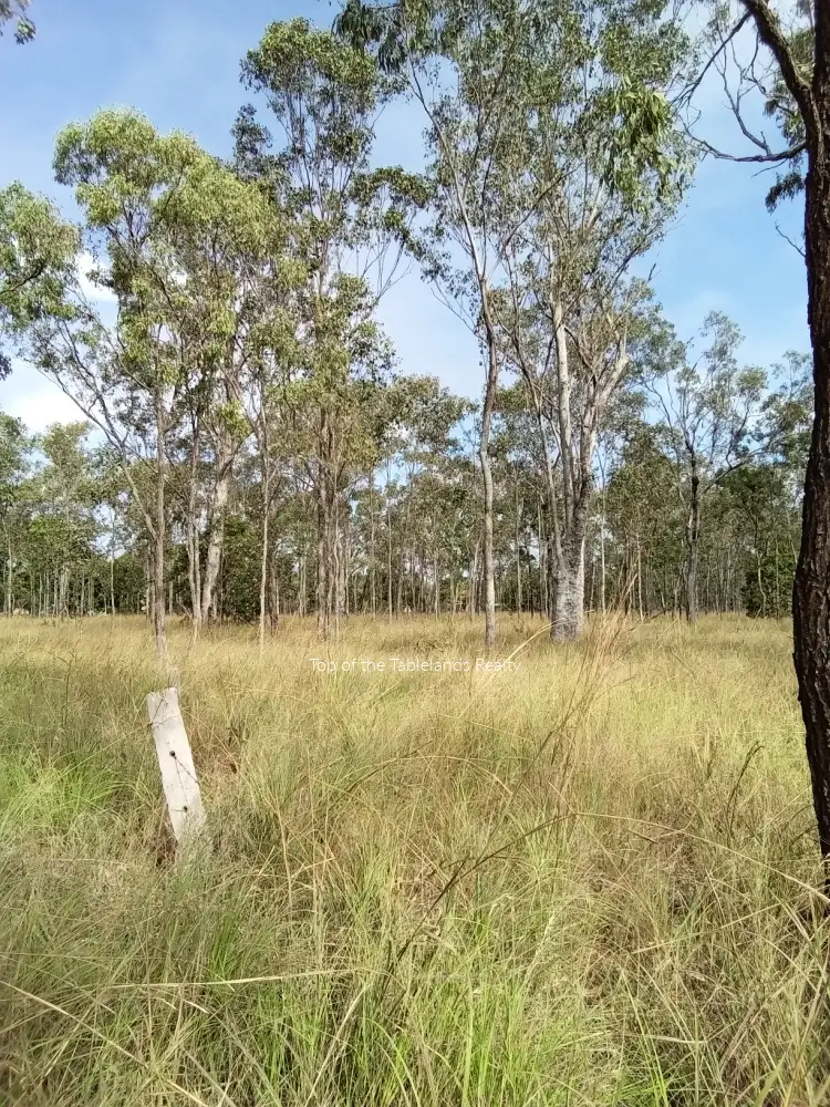 Fourth view of Homely land listing, 189 Millstream Pde, Millstream QLD 4888