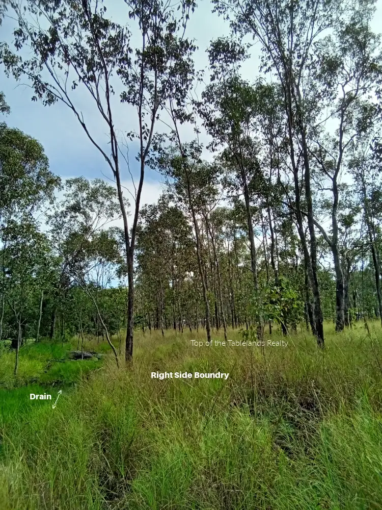 Fifth view of Homely land listing, 189 Millstream Pde, Millstream QLD 4888
