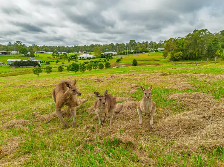 Third view of Homely land listing, 27 Mcmurtrie Rd, Chatsworth QLD 4570