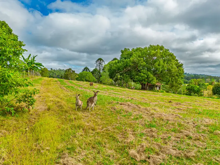 Fifth view of Homely land listing, 27 Mcmurtrie Rd, Chatsworth QLD 4570