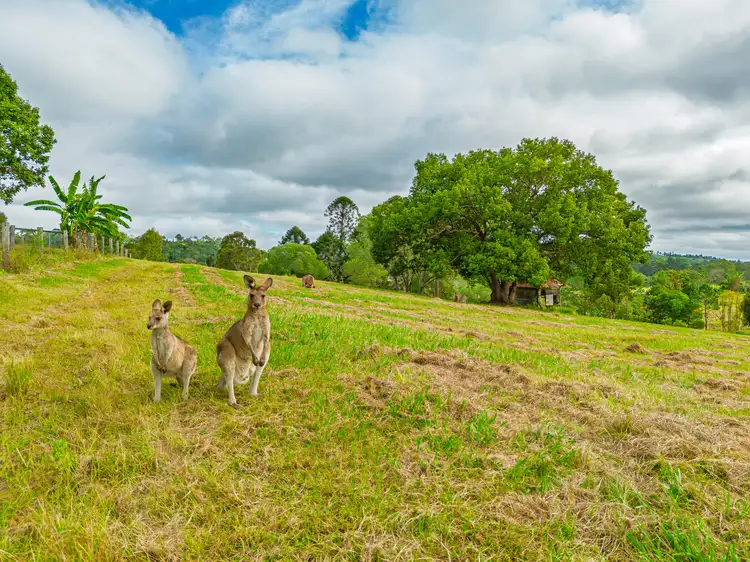 Seventh view of Homely land listing, 27 Mcmurtrie Rd, Chatsworth QLD 4570