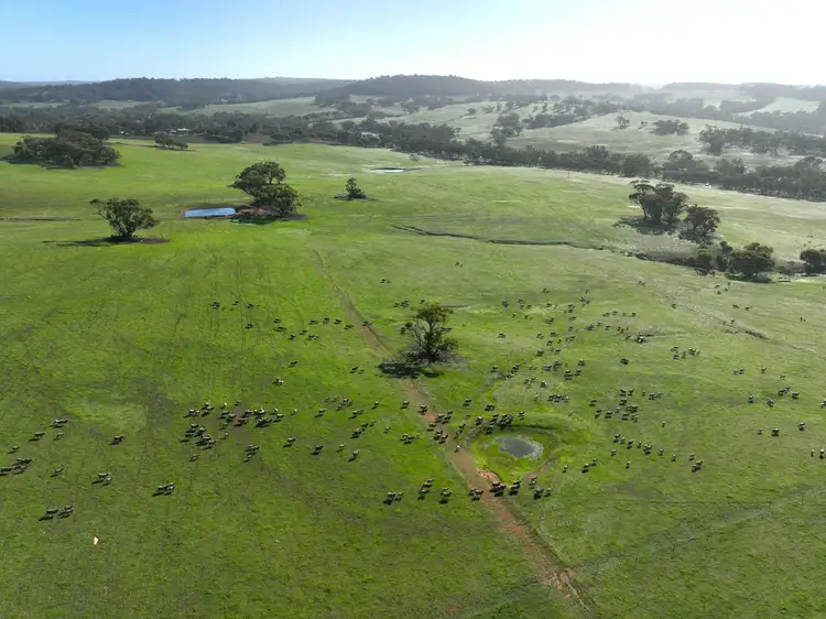 Main view of Homely rural property listing, 315 Bindoon-Dewars Pool Road, Dewars Pool WA 6567