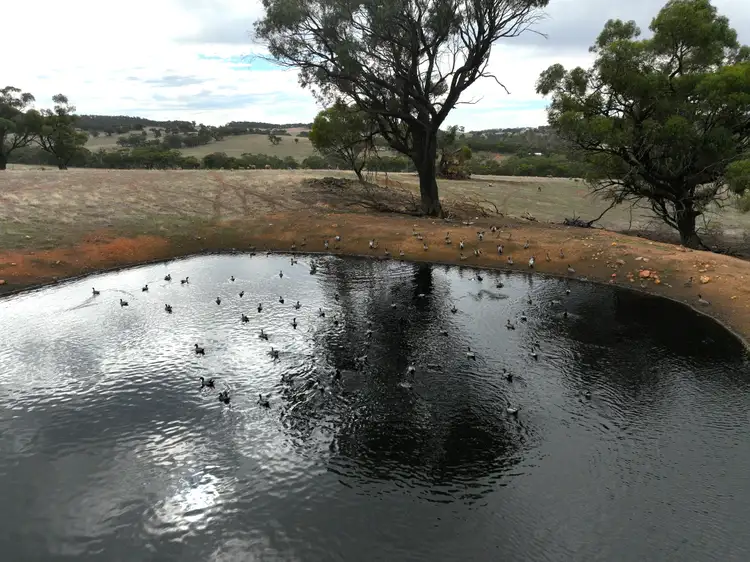 Sixth view of Homely rural property listing, 315 Bindoon-Dewars Pool Road, Dewars Pool WA 6567