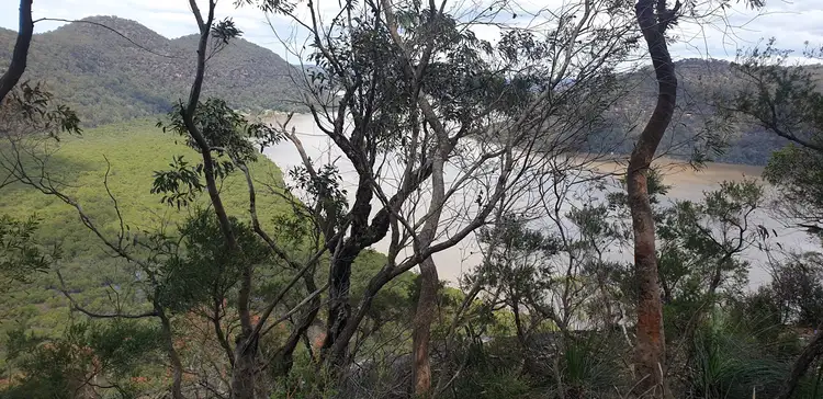 Sixth view of Homely land listing, 2700 Hawkesbury River, Bar Point NSW 2083