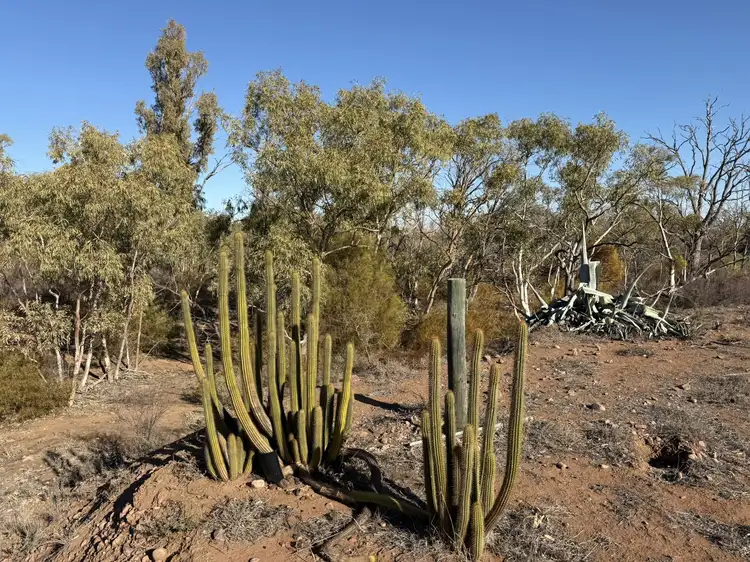 Sixth view of Homely land listing, 47A Gulf View Road, Napperby SA 5540