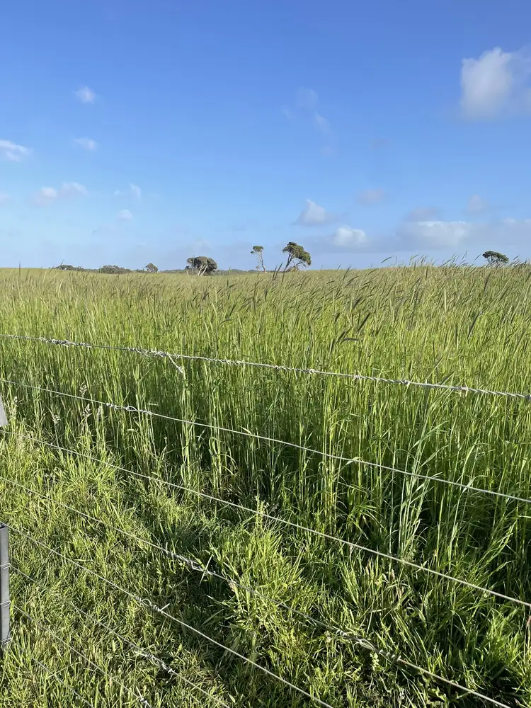 Second view of Homely rural property listing, 175 Pethers Lane, Canunda SA 5280